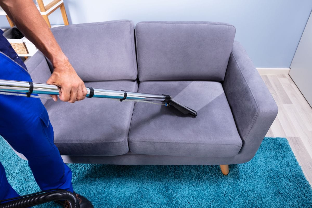 Professional Sofa and Mattress Cleaning Services for a Healthier Home