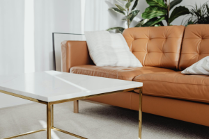 Professional Leather Sofa Cleaning